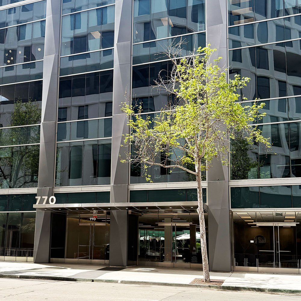 Glass Office Buildings